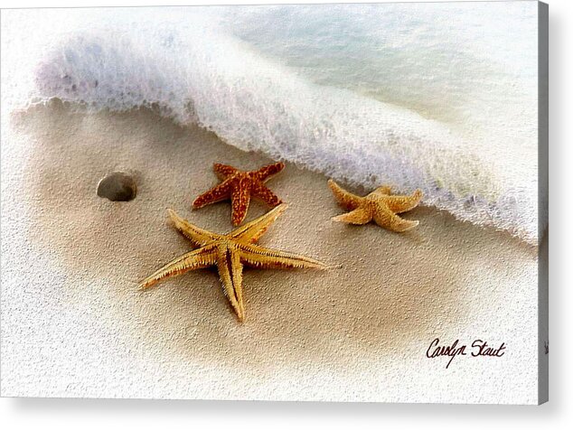 Starfish Seascape Beach Water Sea Ocean Waterside Beach Shells Tropical Acrylic Print featuring the digital art Three Starfish Treasures #1 by Carolyn Staut