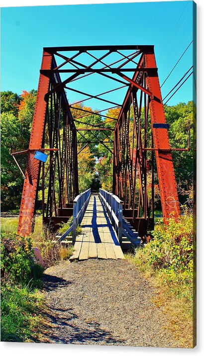 Stony Creek Acrylic Print featuring the photograph One Step at a Time by Catie Canetti
