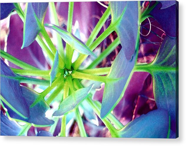 Altered Acrylic Print featuring the photograph Altered Flower 2 by Andrew Hewett