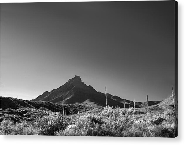 Big Bend Acrylic Print featuring the photograph Big Bend NP Image 134 by Kerry Beverly