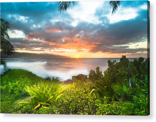 Marijuana Acrylic Print featuring the photograph Marijuana Sunset Hawaii by Leonardo Dale
