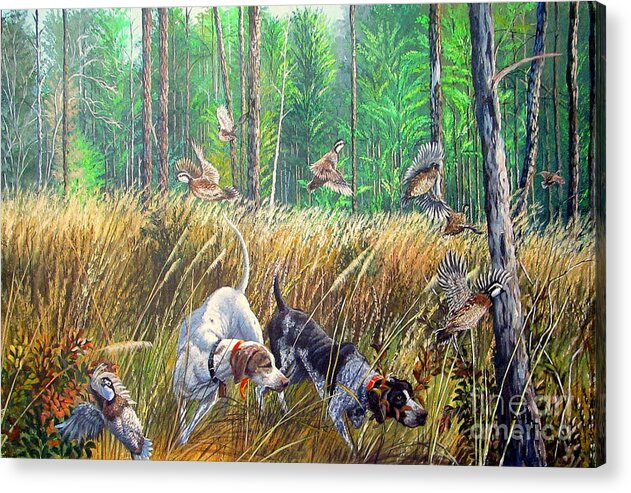 Florida Backwoods Acrylic Print featuring the painting Thunder In The Pines- Bobwhite quail hunting by Daniel Butler