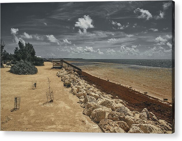 Landscape Acrylic Print featuring the photograph Heavy Sargassum on the Atlantic by Portia Olaughlin