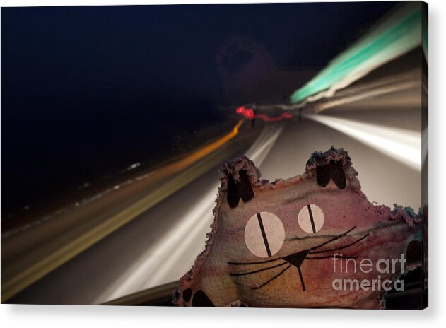 Drunk Acrylic Print featuring the photograph Peculiar by Jeannette Hunt