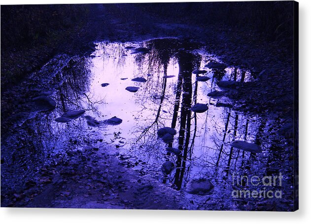 Photograph Acrylic Print featuring the photograph Reflections by Marianne NANA Betts