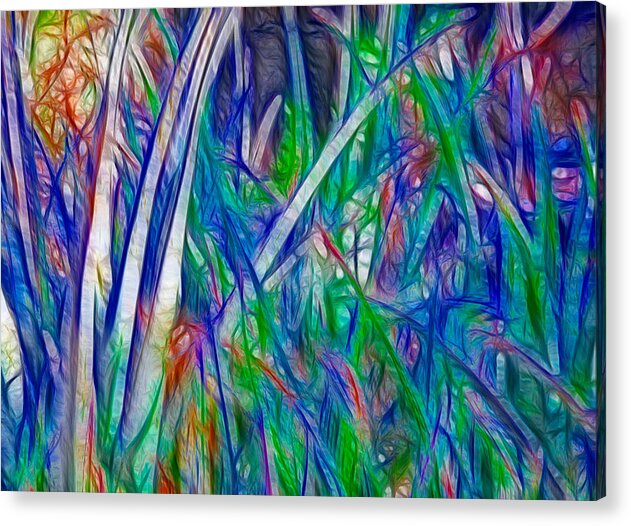 Nature Acrylic Print featuring the painting Aloe Abstract by Omaste Witkowski