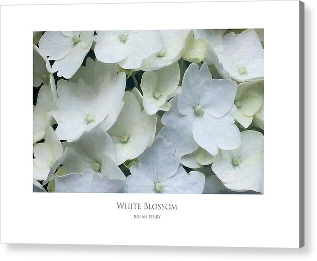 Beautiful Acrylic Print featuring the digital art White Blossom by Julian Perry