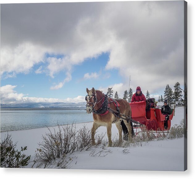 Sand Acrylic Print featuring the photograph Sleigh Ride by Martin Gollery