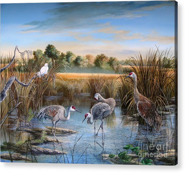Florida Wetlands Acrylic Print featuring the painting Paynes Prairie Preserve State Park- Day of the Sand-Hill by Daniel Butler