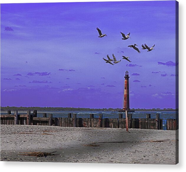 Pelicans Acrylic Print featuring the photograph Pelicans in Flight by Kevin Senter