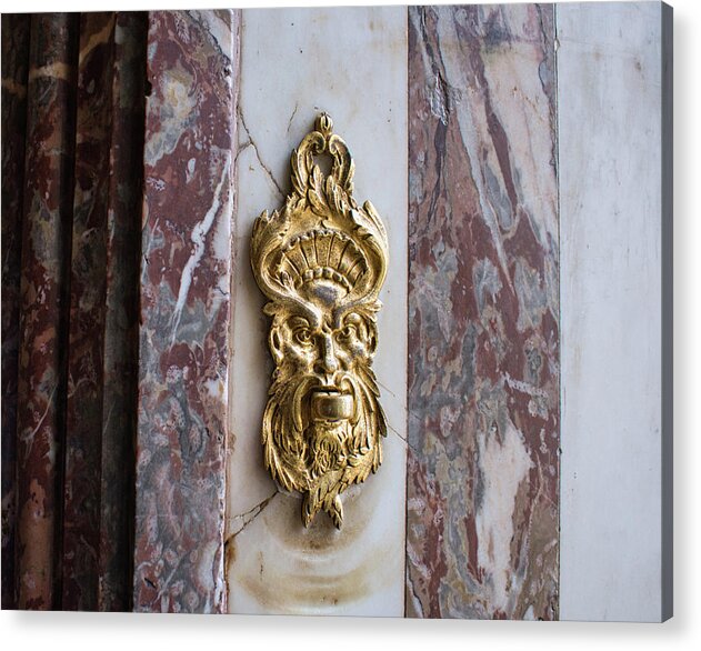 Gold Acrylic Print featuring the photograph Gilded Glory by Portia Olaughlin