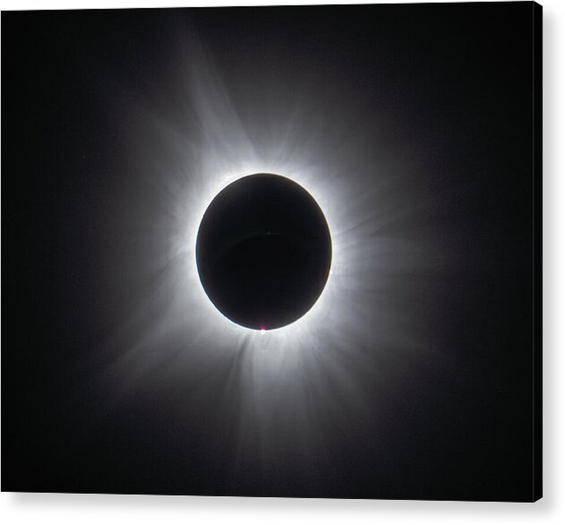 Solar Corona 2024 by Bruce Feagle