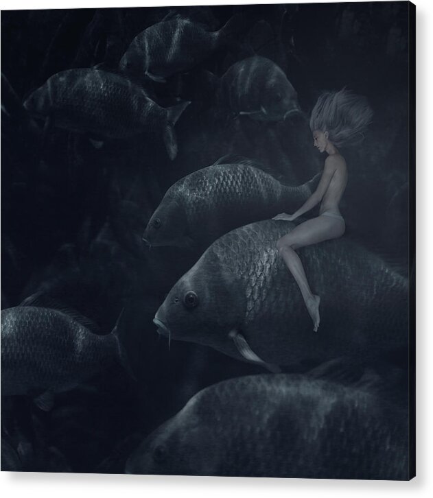  Acrylic Print featuring the photograph The Fish Rider by Anka Zhuravleva