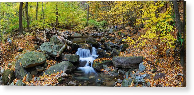 Creek Acrylic Print featuring the photograph Autumn creek panorama with yellow maple trees by Songquan Deng