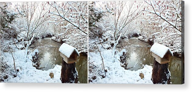 Stereo Acrylic Print featuring the photograph Creekside Snow in Stereo by Duane McCullough