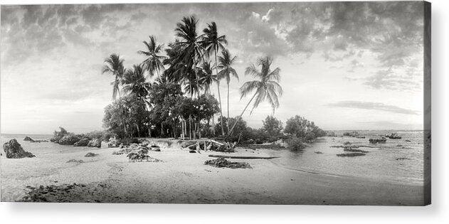 Photography Acrylic Print featuring the photograph Palm Trees On The Beach, Morro De Sao by Panoramic Images