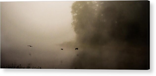 Foggy Landscape Acrylic Print featuring the photograph Through the Fog by Parker Cunningham