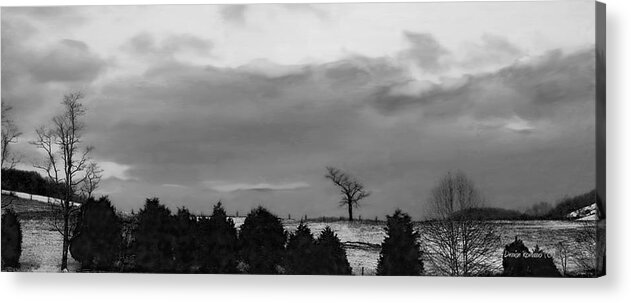 Black And White Acrylic Print featuring the photograph Walnut Tree in BW by Denise Romano