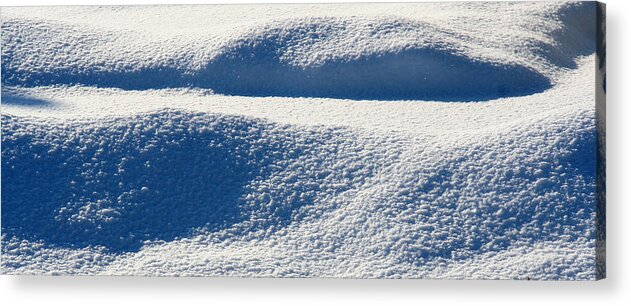 Snow Acrylic Print featuring the photograph Winter's Blanket by William Selander