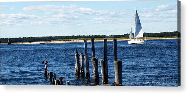 Newburyport Acrylic Print featuring the photograph Autumn Sail by Mary Capriole