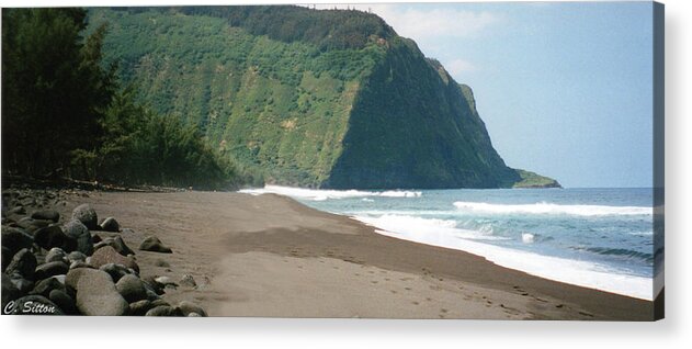 Hawaii Photographs Acrylic Print featuring the photograph Hawaii Shore by C Sitton