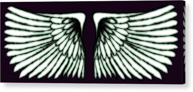 Digital Art Acrylic Print featuring the digital art Wings by Sumit Mehndiratta