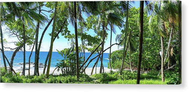 Costa Rica Acrylic Print featuring the photograph Coata Rica Beach 1 by Dillon Kalkhurst