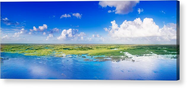 Everglades Acrylic Print featuring the photograph Fly Away by Mark Andrew Thomas