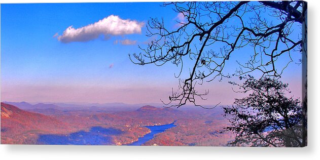 Landscape Acrylic Print featuring the photograph Detail from reaching for a cloud by Steve Karol