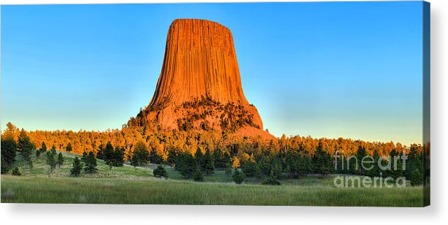 Devils Tower Sunset Acrylic Print featuring the photograph Devils Tower Golden Glow by Adam Jewell