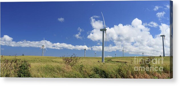 Landscape Acrylic Print featuring the photograph Hawaiian Windmills by Mary Haber
