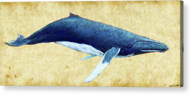 Humpback Acrylic Print featuring the photograph Humpback Whale painting by Weston Westmoreland