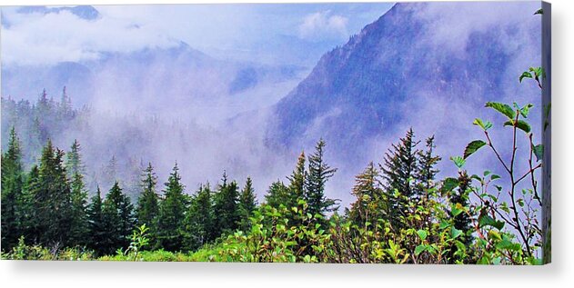 Fern Acrylic Print featuring the photograph Jade by Martin Cline