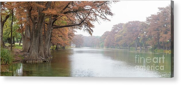 Bald Cypress Acrylic Print featuring the photograph On the Frio River by Cathy Alba