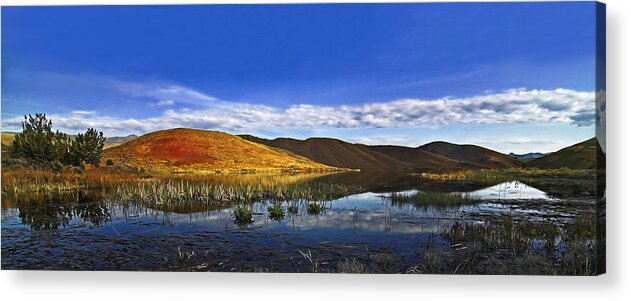 Painted Hills Acrylic Print featuring the photograph Oregon Painted Hills Reflections by John Christopher