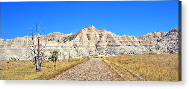 Badlands Acrylic Print featuring the photograph Parched by Bill Morgenstern