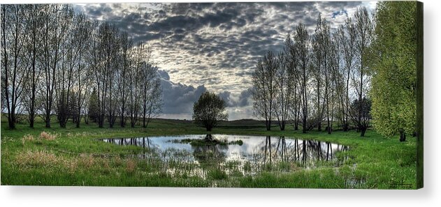 Pond Spring Green North Dakota Nd Landscape Scenic Rural Sky Panorama Pano Water Tree Frogs Acrylic Print featuring the photograph Spring Pond by Peter Herman