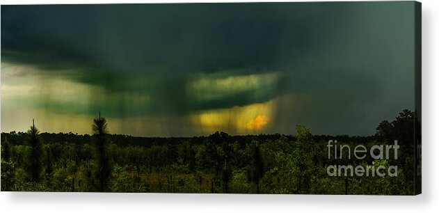 Showers Acrylic Print featuring the photograph Spring Showers by Metaphor Photo