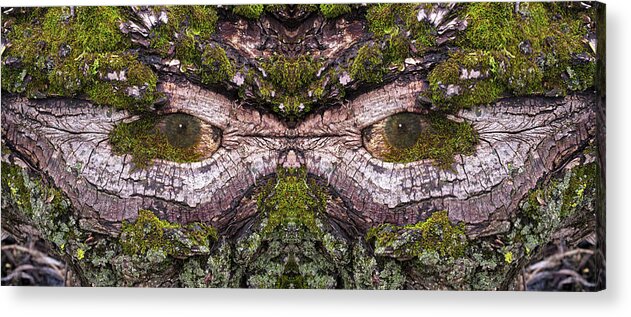 Wood Tree Eye Freaky Mask Scary Ent Organic Life Moss Algae Eyes Eyeball Watching Watcher Abstract Psychodelic Nightmare Frightful Monster Dark Forest “green Man” Acrylic Print featuring the photograph - Watcher in the Wood #2 - Human face and eyes hiding in mirrored tree feature - Green Man by Peter Herman