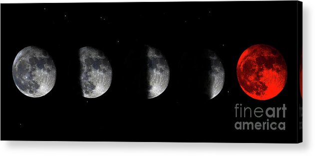 Bloodred Wolf Moon Acrylic Print featuring the photograph Blood Red Wolf Supermoon Eclipse Series 873n by Ricardos Creations