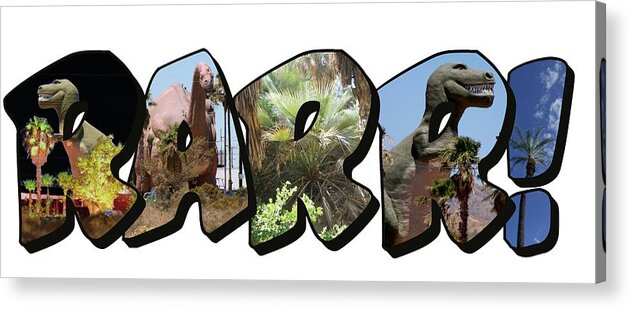 Large Letter Acrylic Print featuring the photograph RARR Big Letter Dinosaurs by Colleen Cornelius