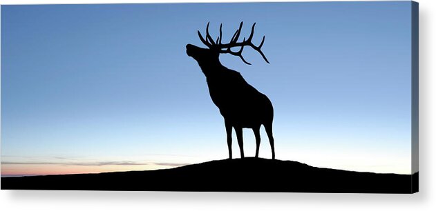 Horned Acrylic Print featuring the photograph Xl Elk Silhouette by Sharply done