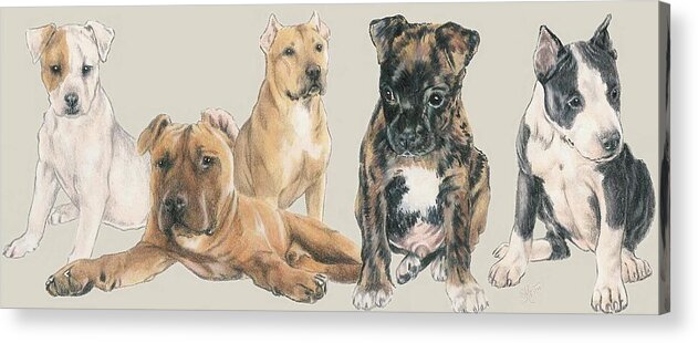 Staffie Acrylic Print featuring the mixed media American Staffordshire Terrier Puppies by Barbara Keith