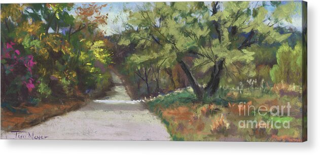 Plein Air Landscape Painting Stoneham Maine Acrylic Print featuring the painting A Quiet Road by Terri Meyer