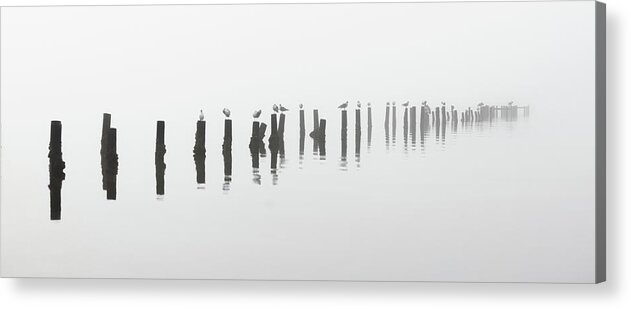 Black And White Acrylic Print featuring the photograph Foggy Old Pier In Black And White Florida by Jordan Hill