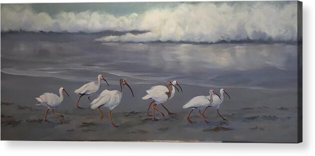 Atlantic Ocean Acrylic Print featuring the painting Ibis Stroll by Judy Rixom