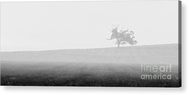 Nature Acrylic Print featuring the photograph Lonely Hilltop by Marvin Spates