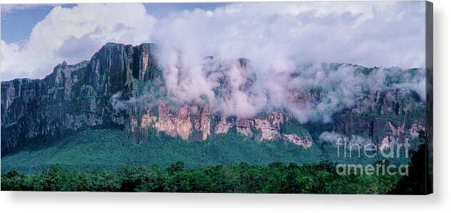 Dave Welling Acrylic Print featuring the photograph Panorama Tepui From Carro River Caniama National Park by Dave Welling