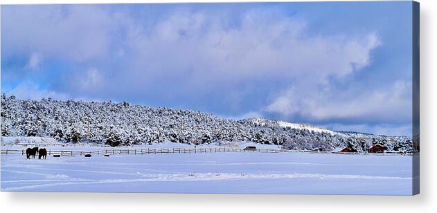Beautiful Acrylic Print featuring the photograph Beautiful Snow view Zion Mountain Ranch,UT by Bnte Creations