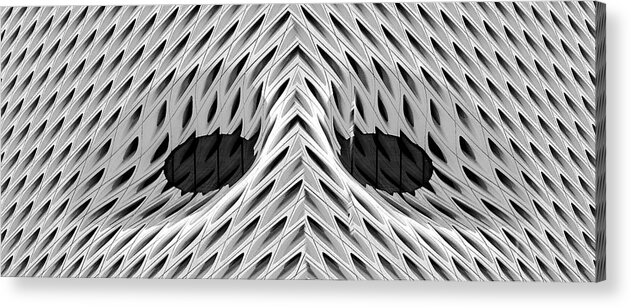 The Broad Mask Acrylic Print featuring the photograph The Broad Mask by Viktor Savchenko